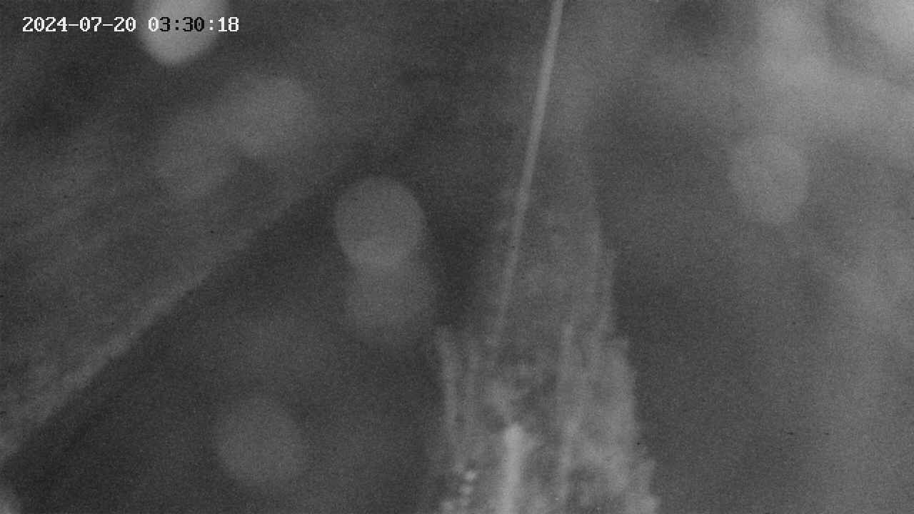 area9-20240720033019.jpg