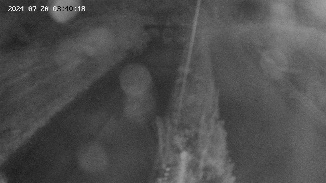 area9-20240720034019.jpg