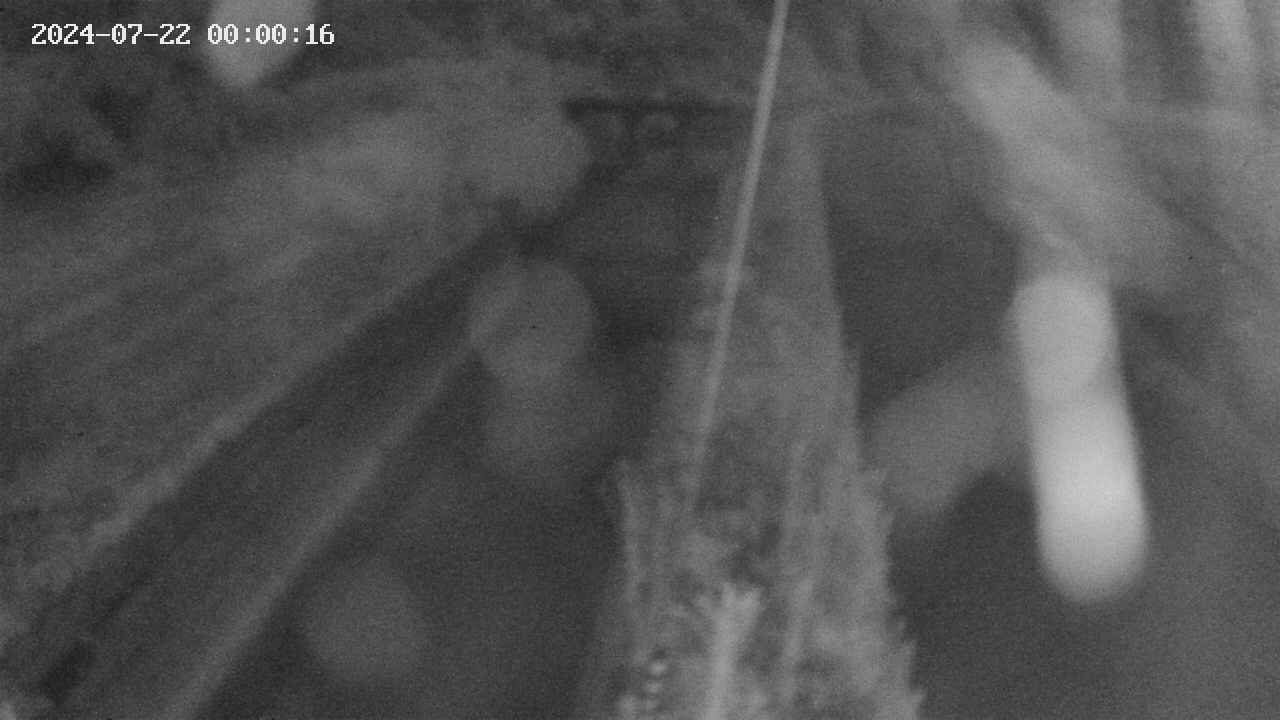 area9-20240722000017.jpg