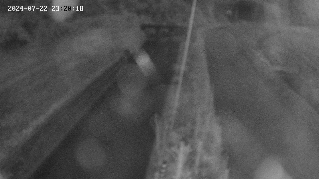 area9-20240722232018.jpg