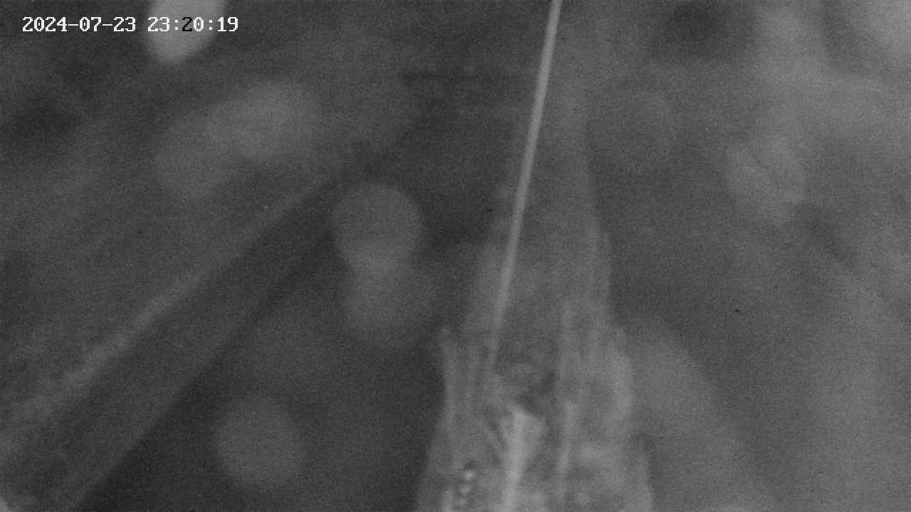 area9-20240723232019.jpg