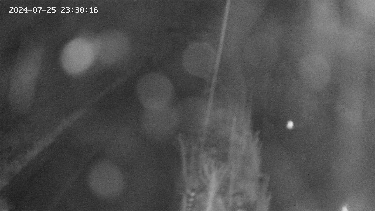 area9-20240725233017.jpg