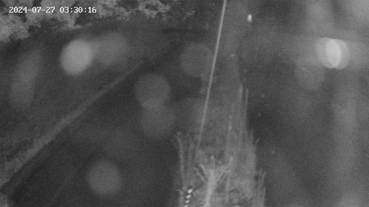 area9-20240727033017.jpg