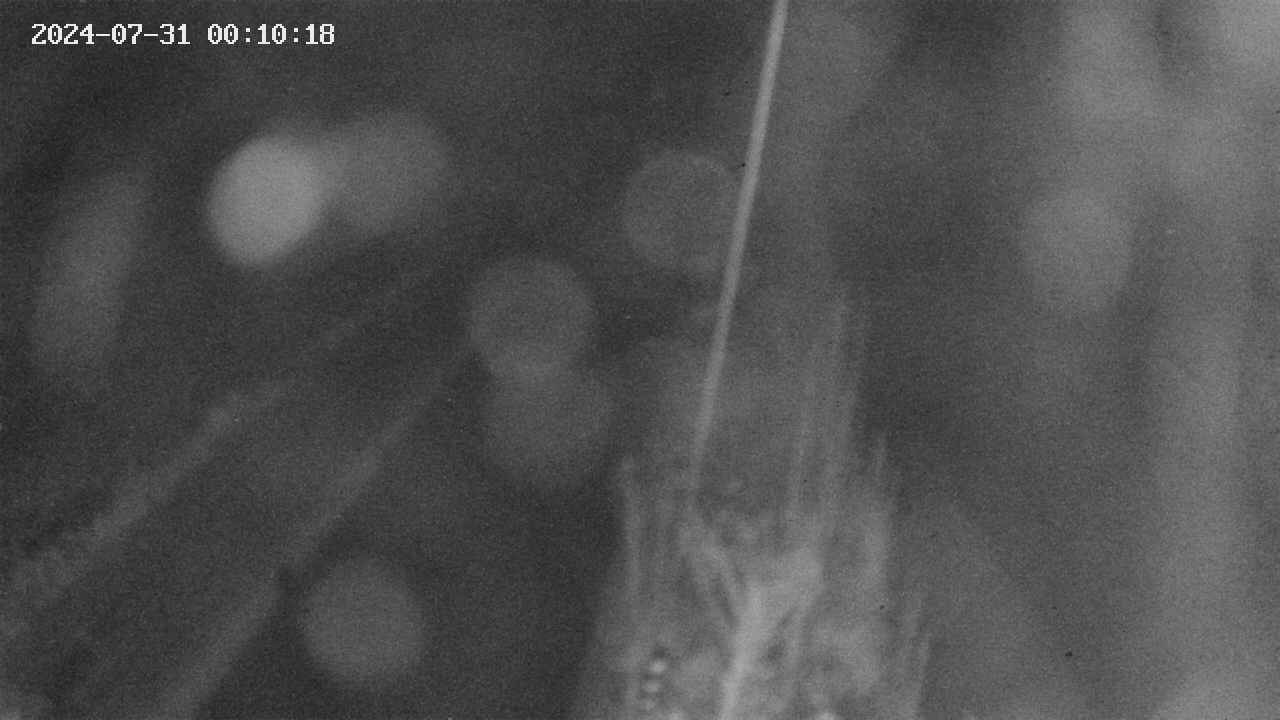 area9-20240731001019.jpg