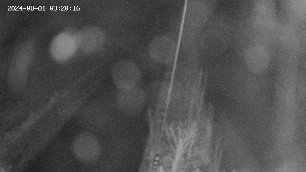 area9-20240801032017.jpg