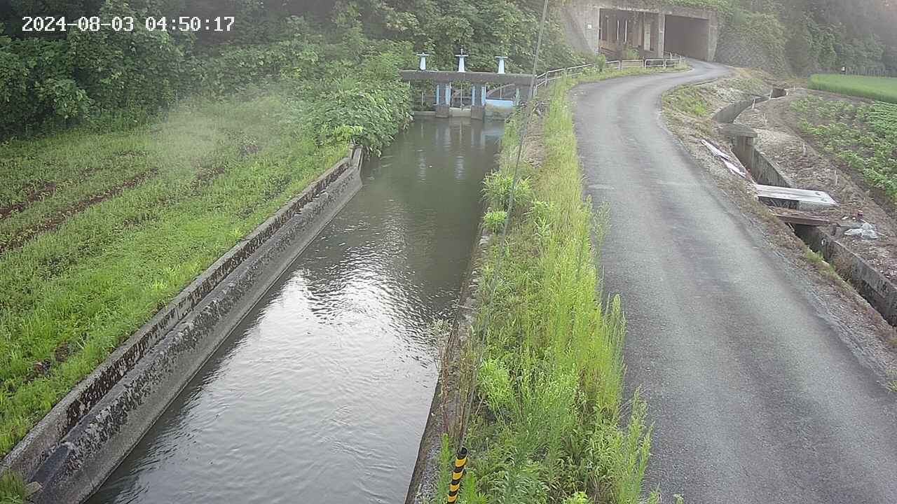 area9-20240803045019.jpg