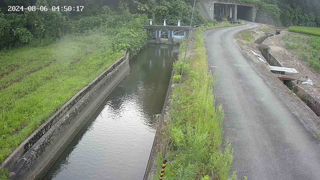 area9-20240806045018.jpg