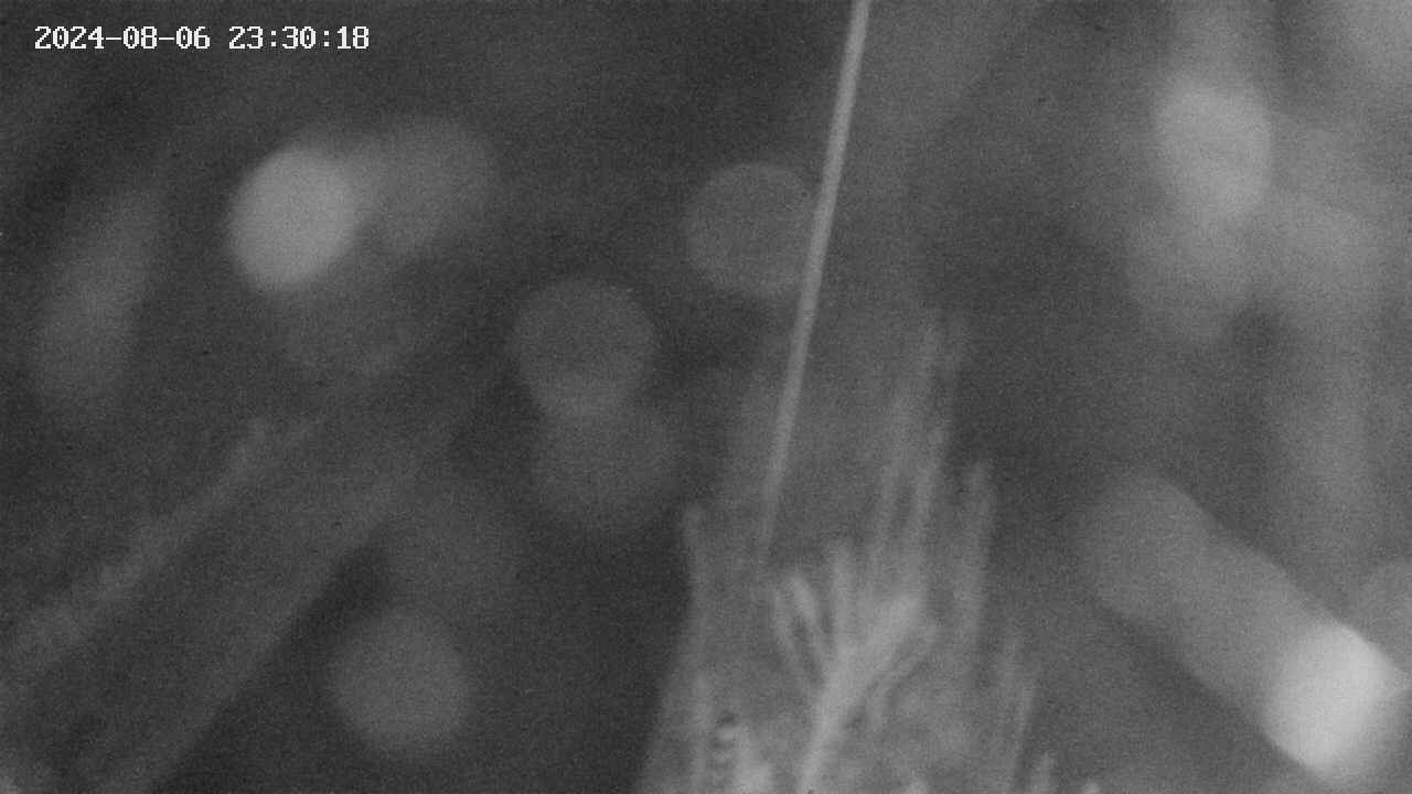 area9-20240806233019.jpg