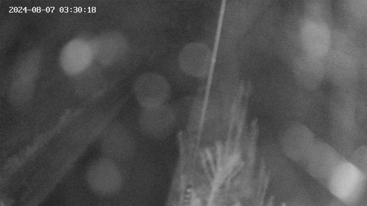 area9-20240807033019.jpg