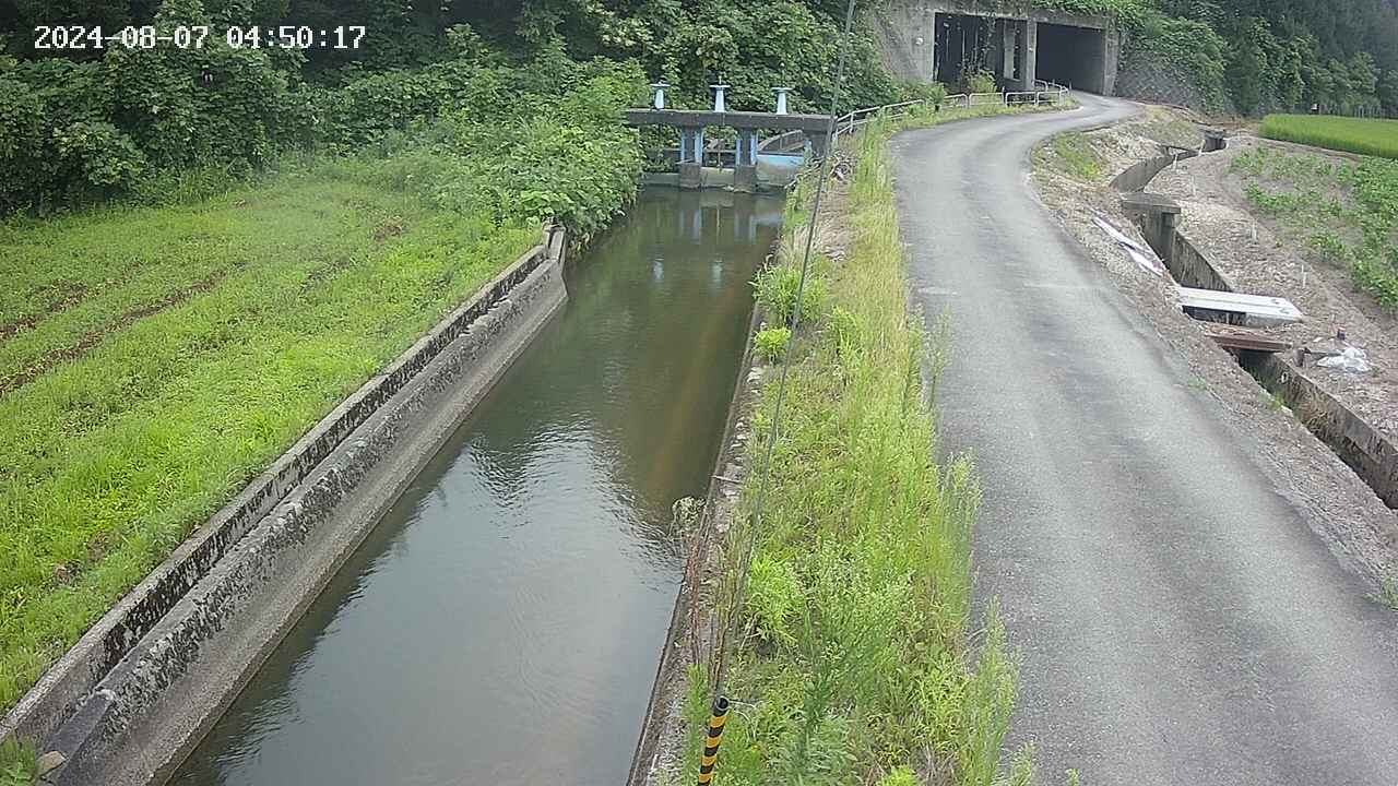 area9-20240807045018.jpg