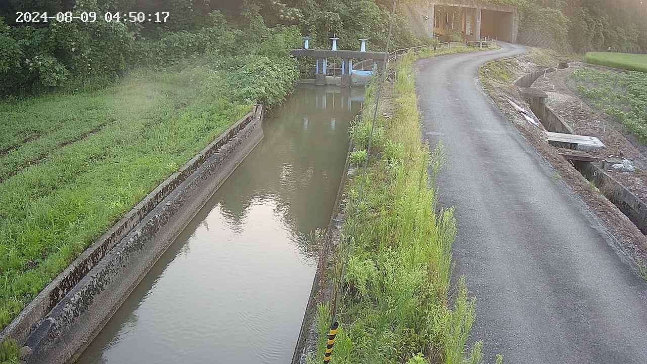 area9-20240809045018.jpg
