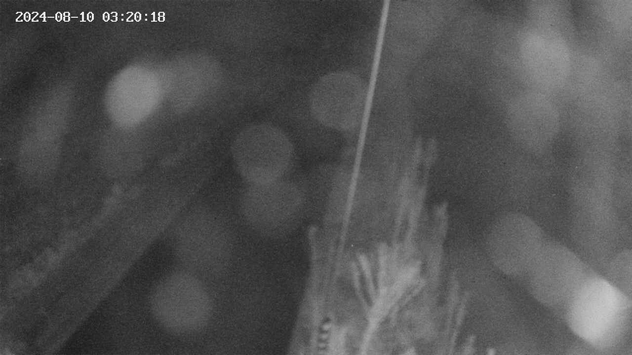 area9-20240810032019.jpg