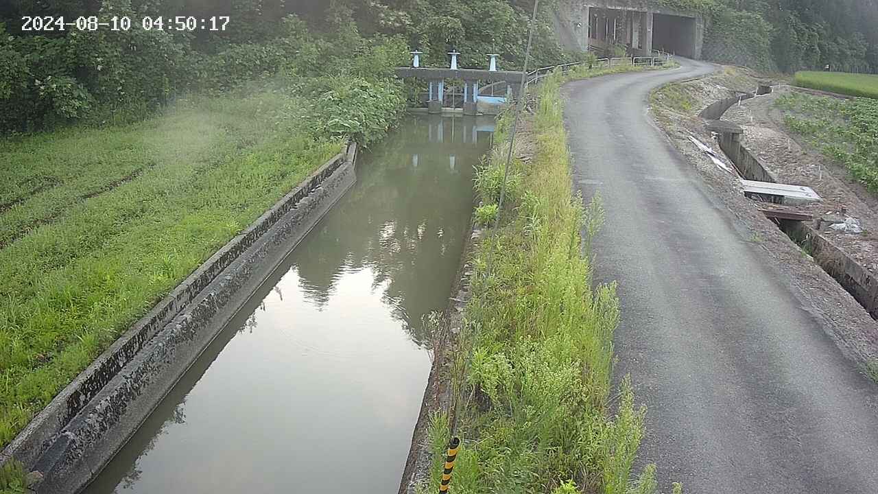 area9-20240810045018.jpg