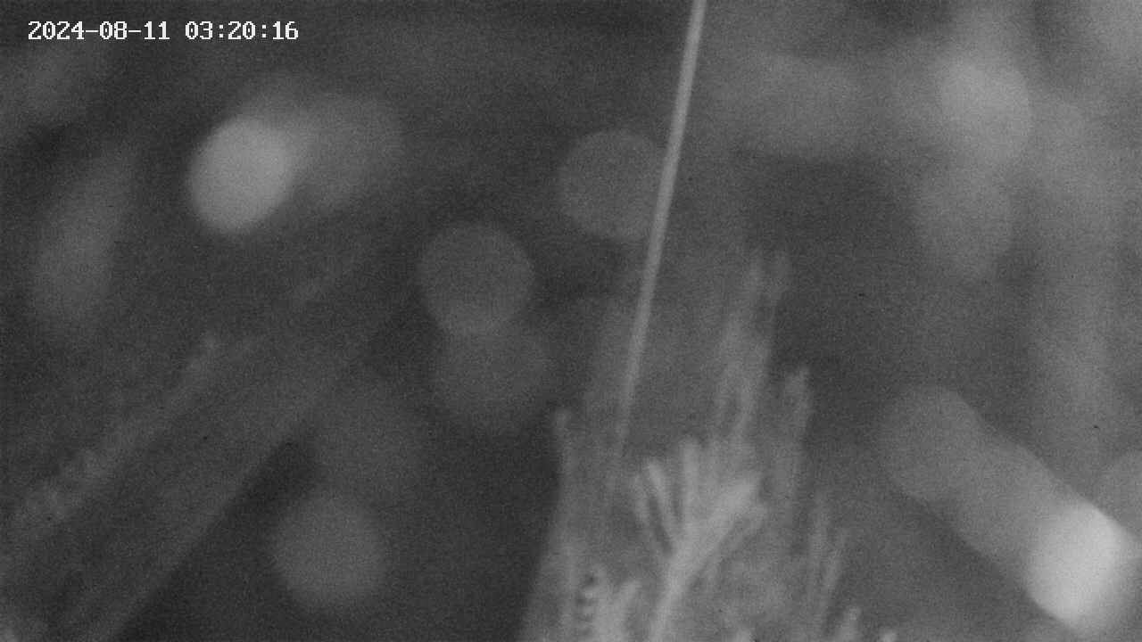 area9-20240811032017.jpg