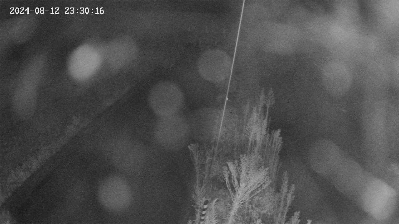 area9-20240812233017.jpg