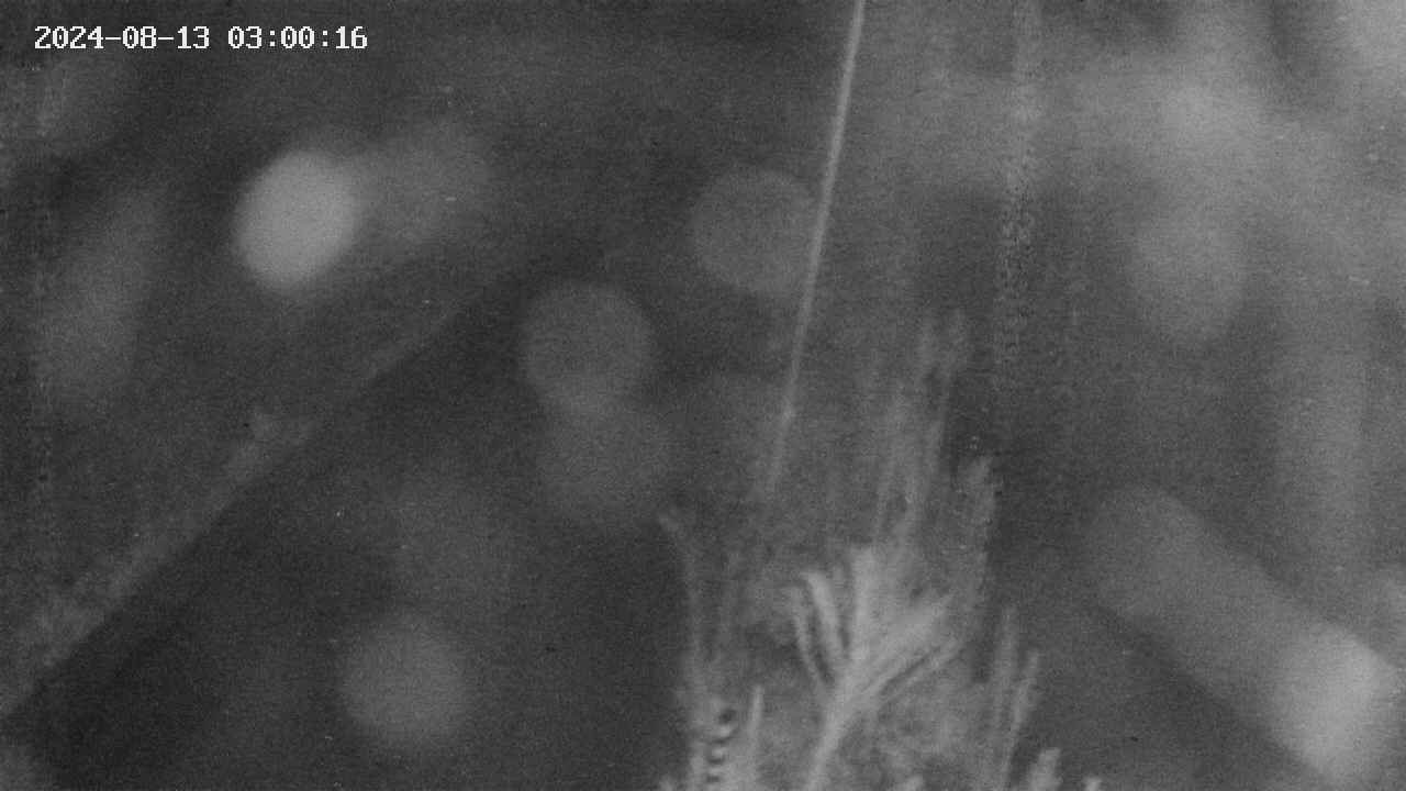 area9-20240813030017.jpg