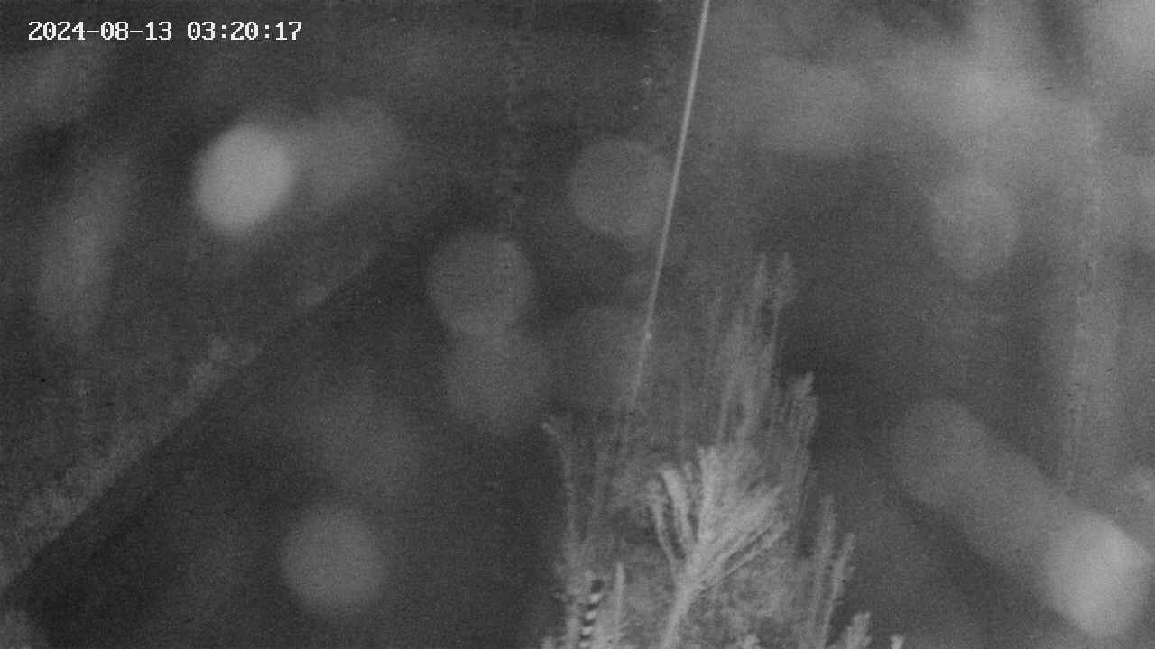 area9-20240813032018.jpg