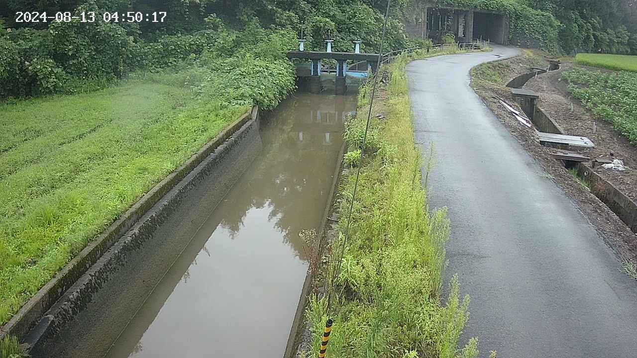area9-20240813045018.jpg