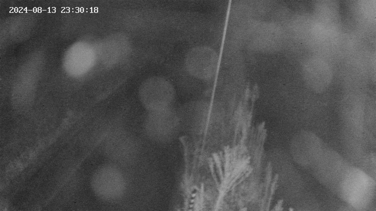 area9-20240813233019.jpg