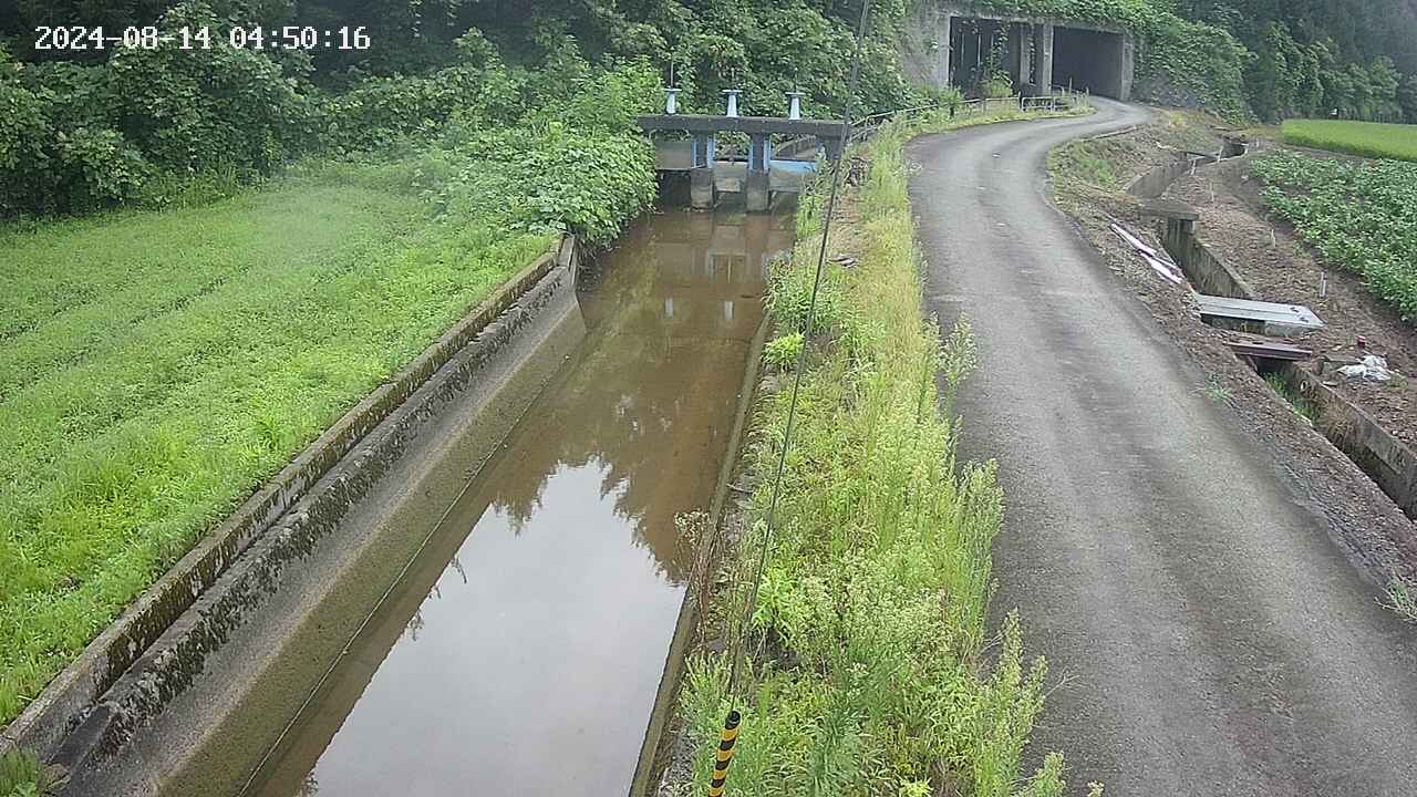 area9-20240814045018.jpg