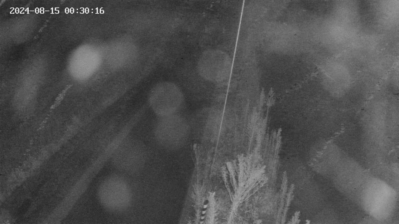 area9-20240815003017.jpg