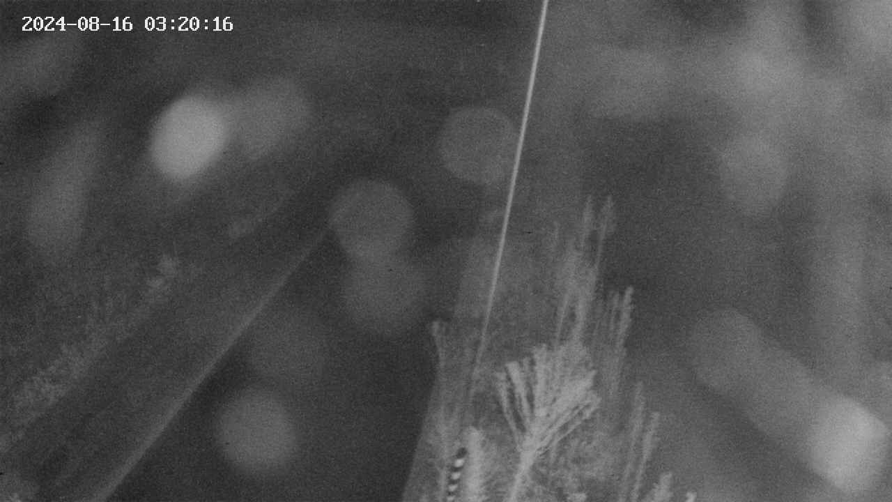 area9-20240816032017.jpg