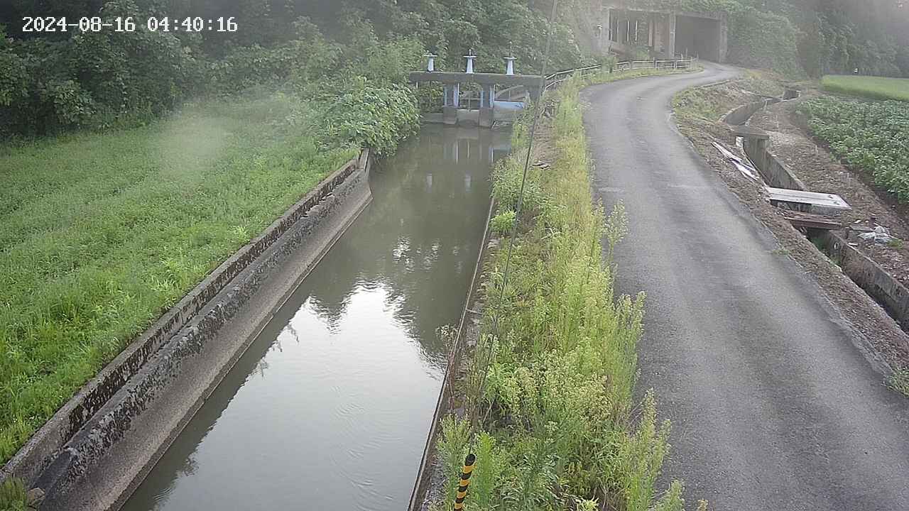 area9-20240816044017.jpg