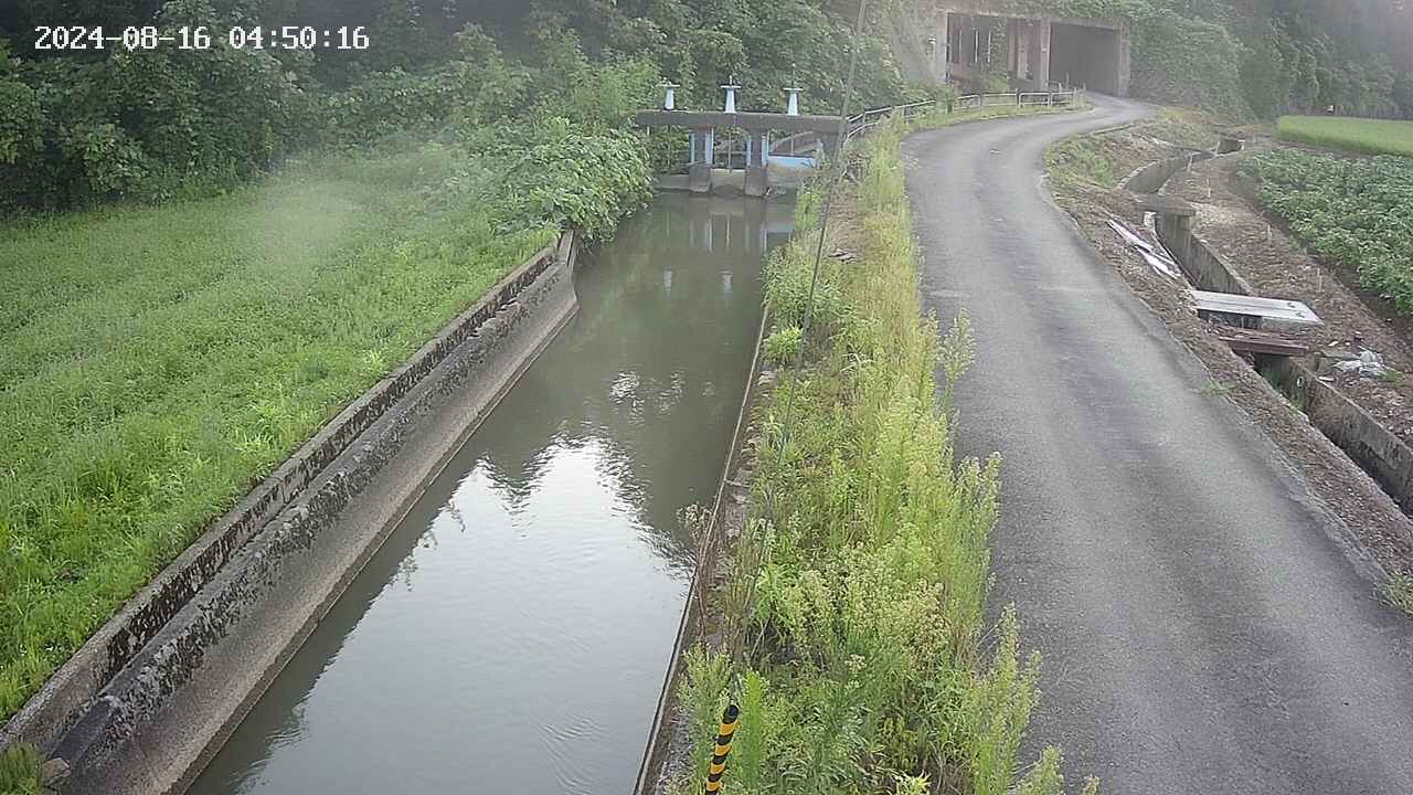 area9-20240816045017.jpg