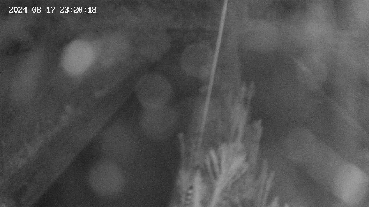 area9-20240817232019.jpg