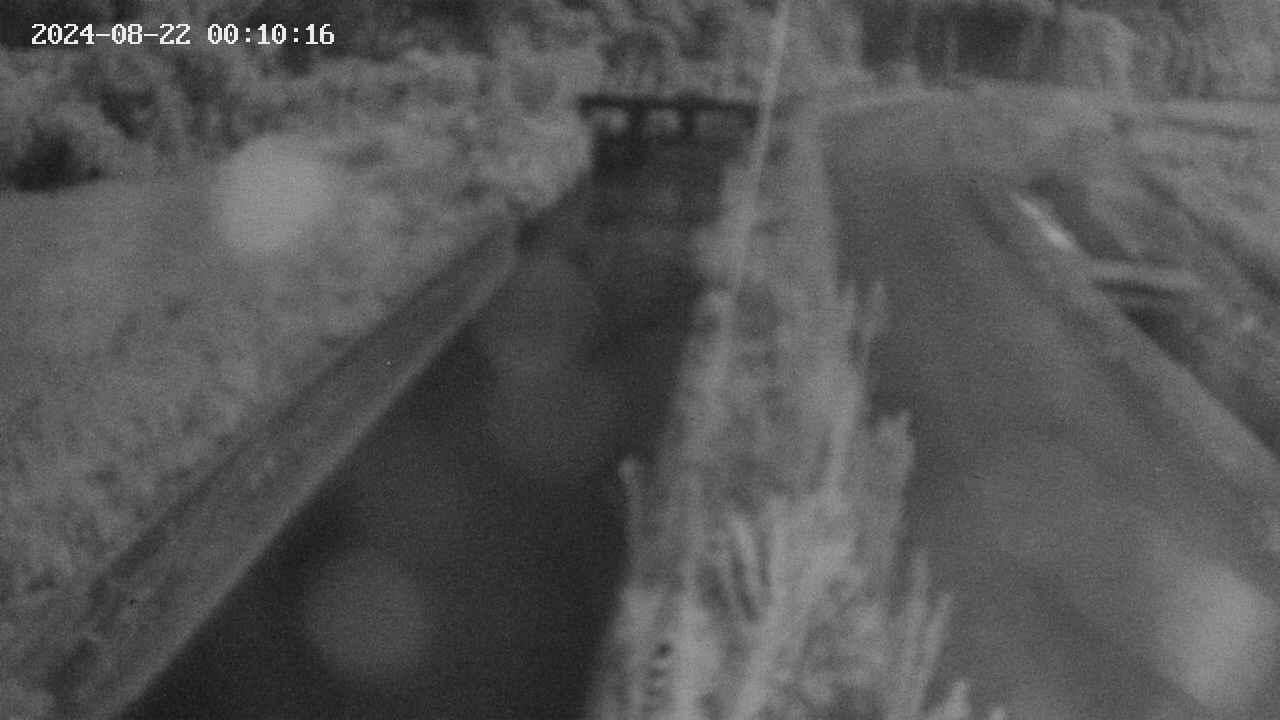 area9-20240822001018.jpg