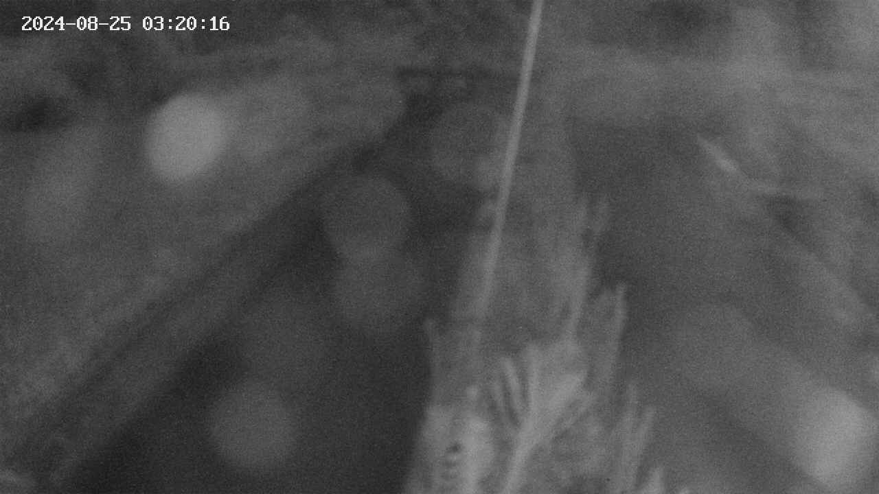 area9-20240825032018.jpg