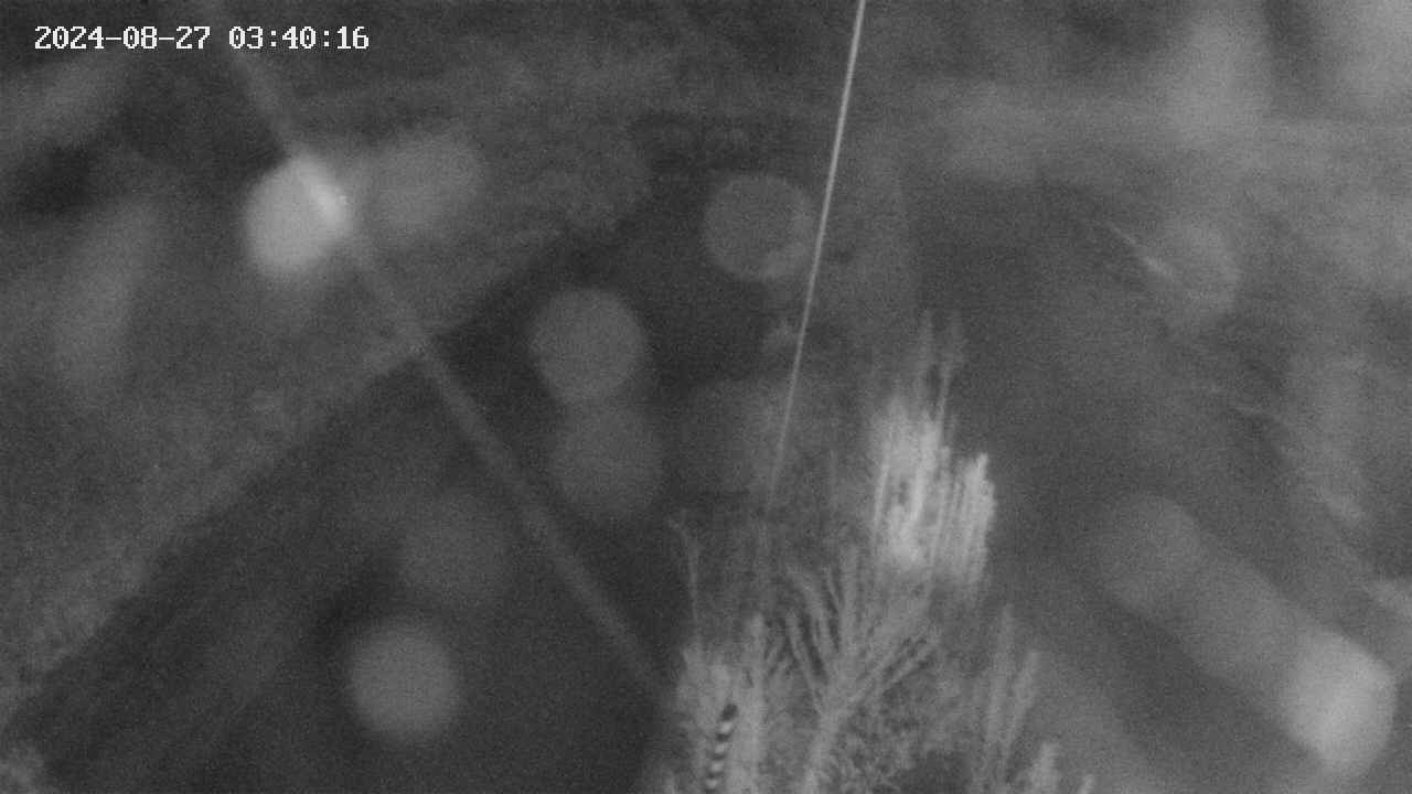 area9-20240827034018.jpg