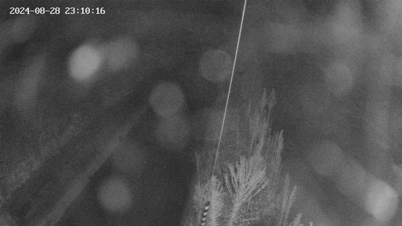 area9-20240828231018.jpg