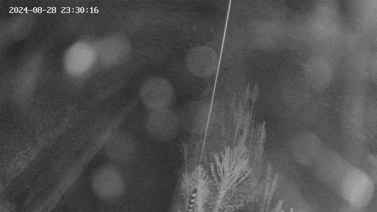 area9-20240828233016.jpg