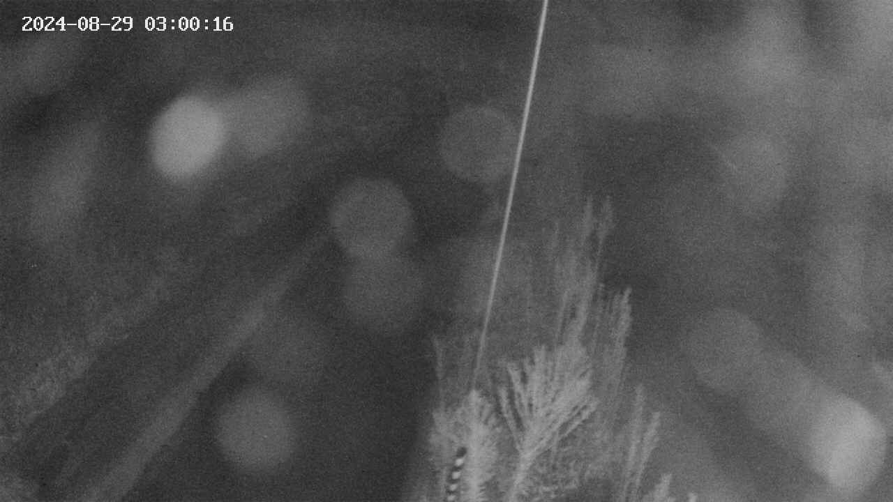 area9-20240829030017.jpg