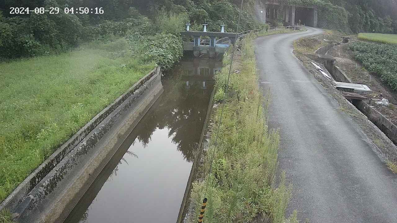 area9-20240829045017.jpg