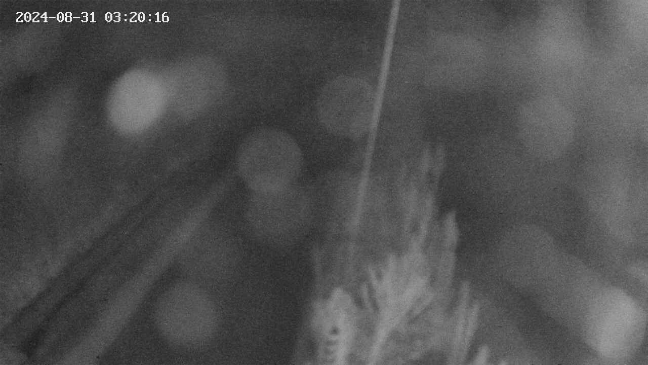 area9-20240831032018.jpg