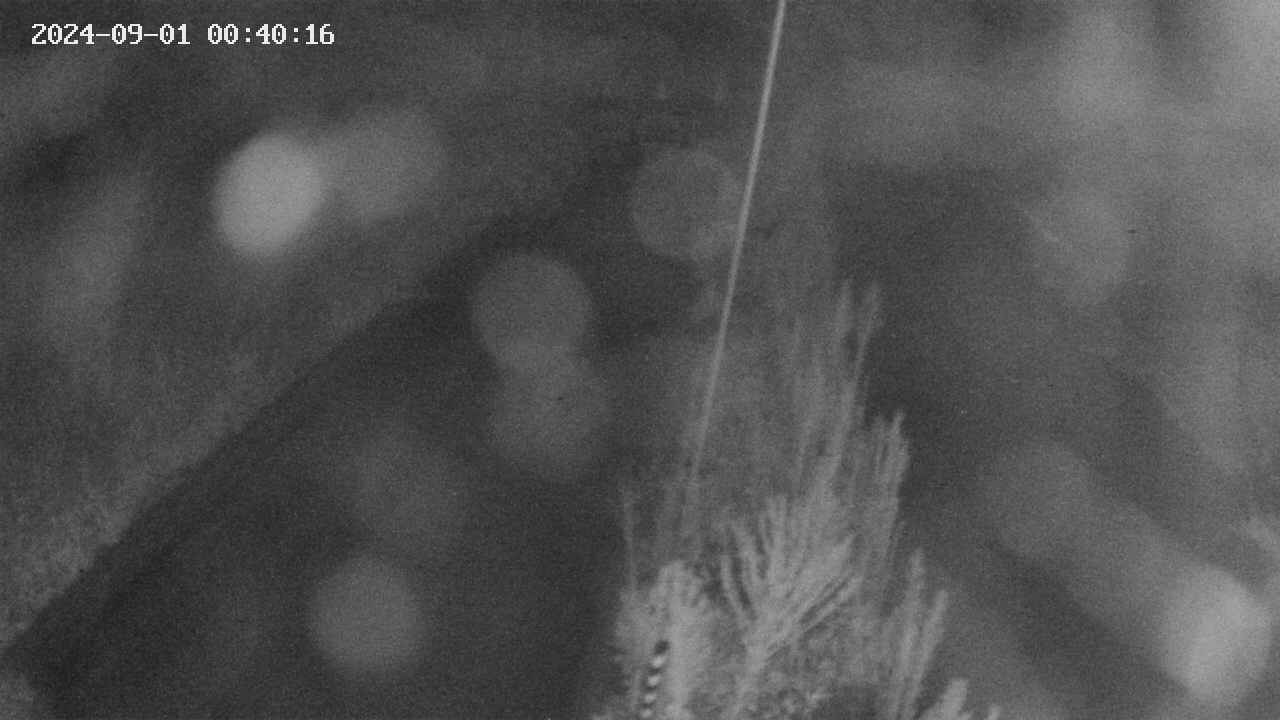 area9-20240901004018.jpg