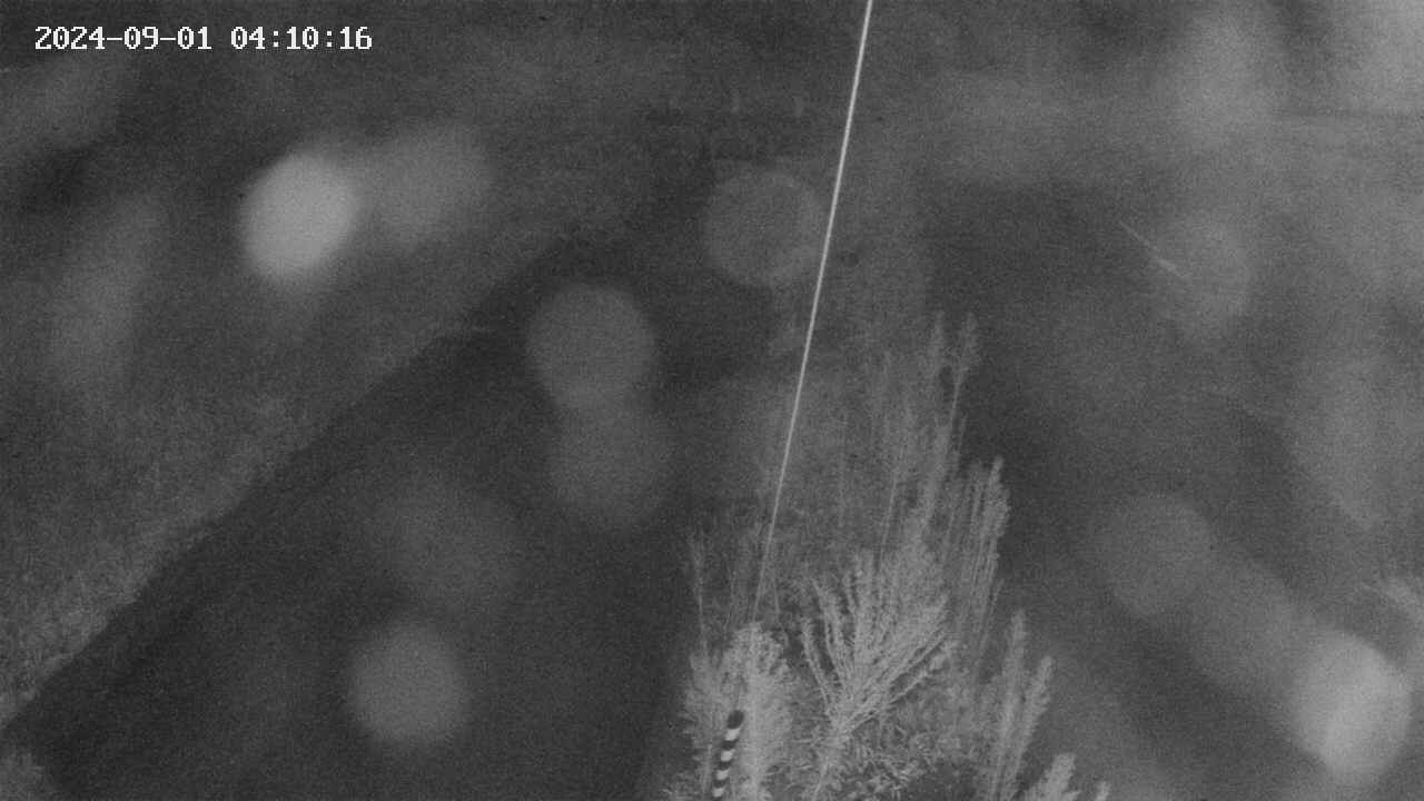 area9-20240901041018.jpg