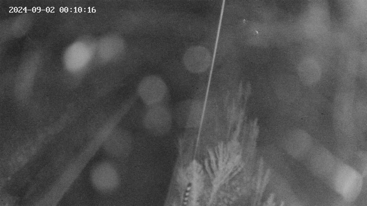 area9-20240902001018.jpg