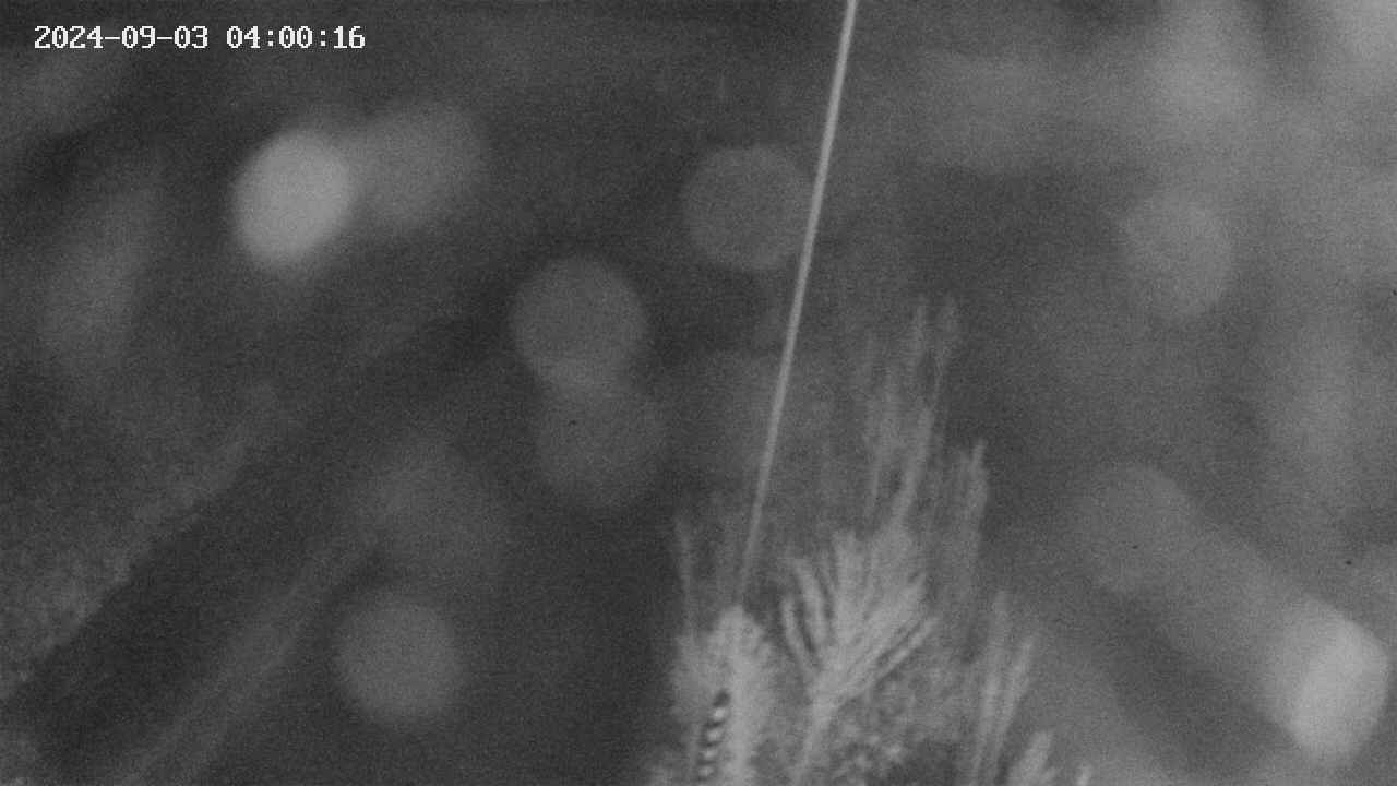 area9-20240903040017.jpg