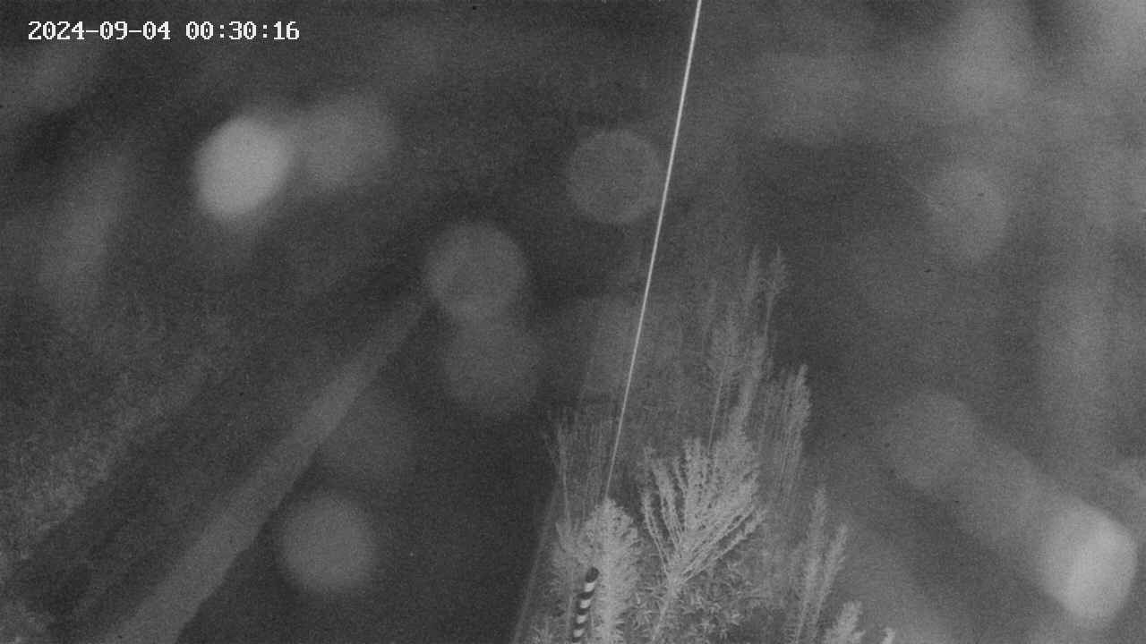 area9-20240904003017.jpg