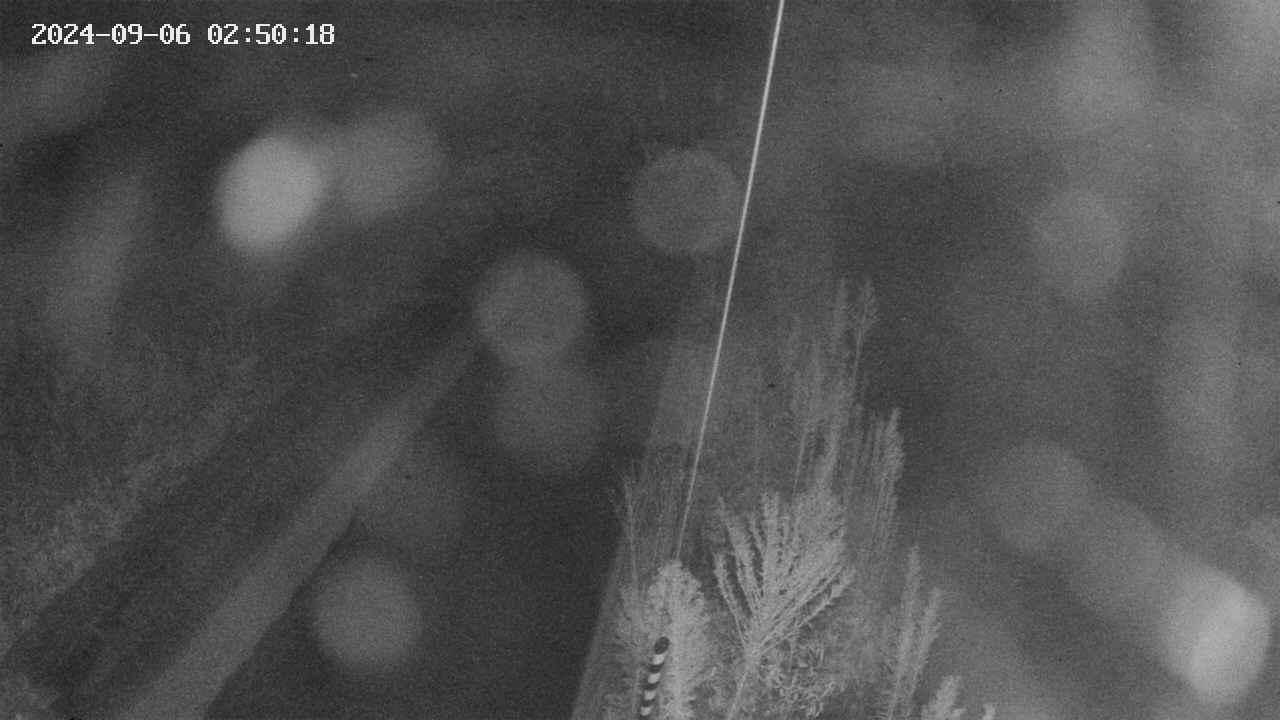 area9-20240906025019.jpg