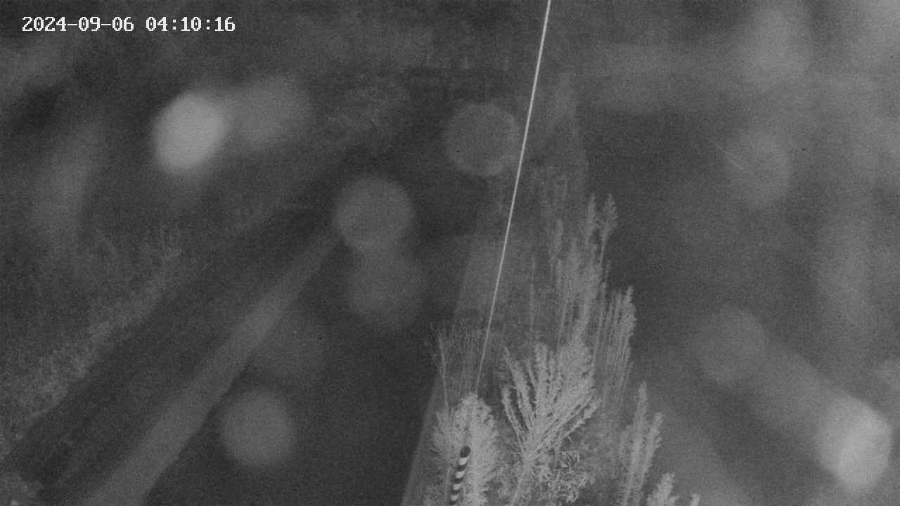 area9-20240906041017.jpg