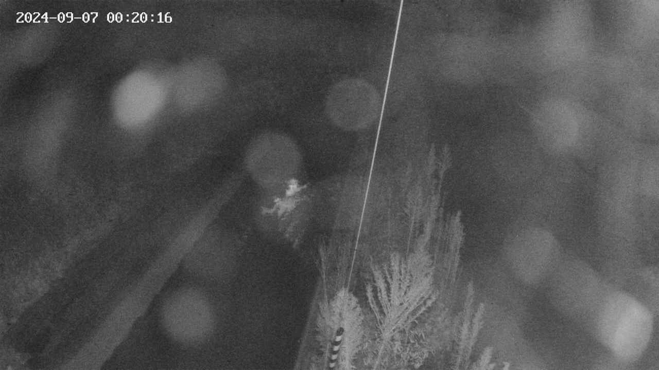 area9-20240907002017.jpg