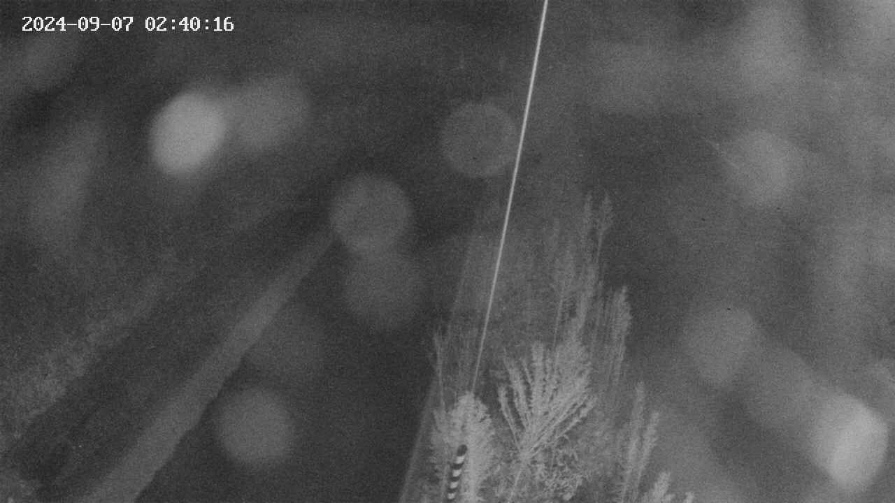 area9-20240907024018.jpg
