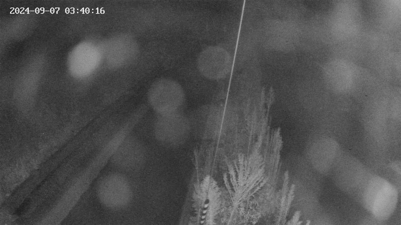 area9-20240907034017.jpg