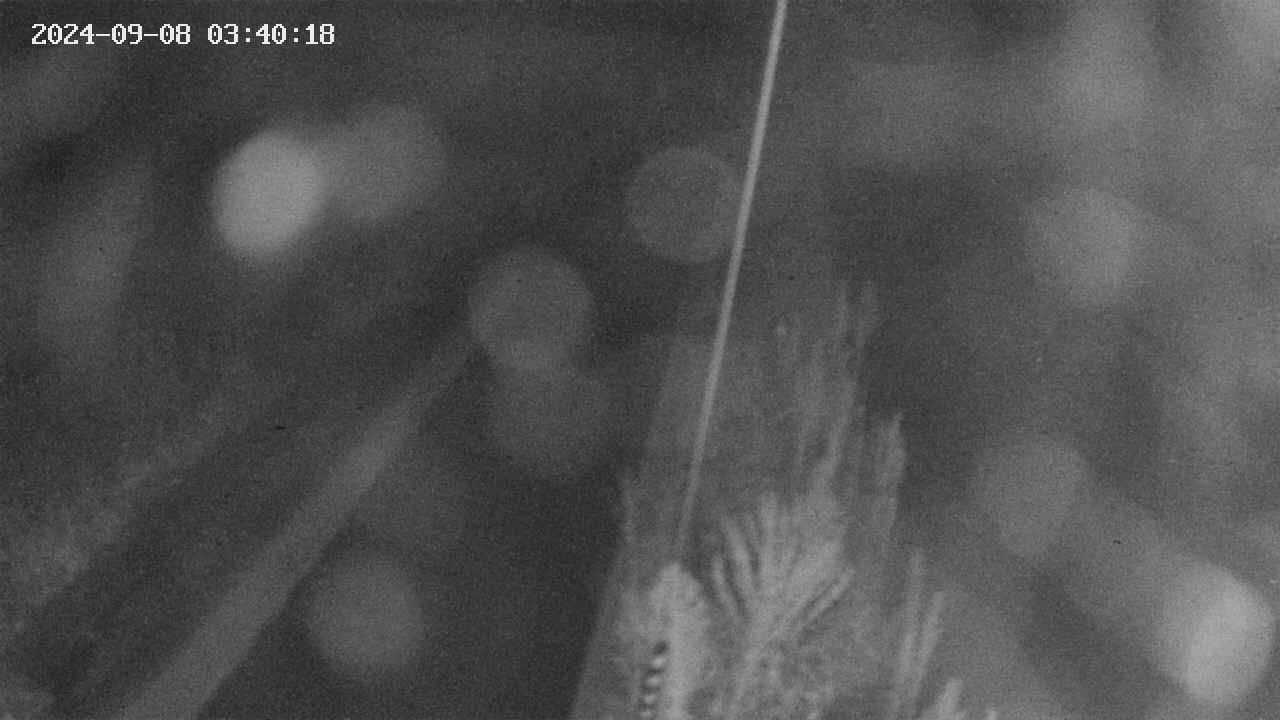 area9-20240908034019.jpg