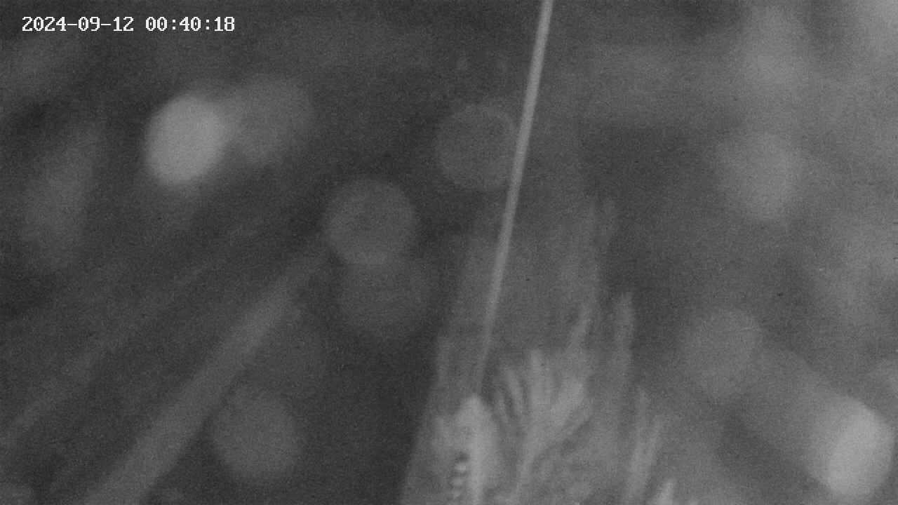 area9-20240912004019.jpg