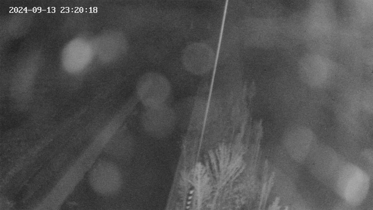 area9-20240913232019.jpg